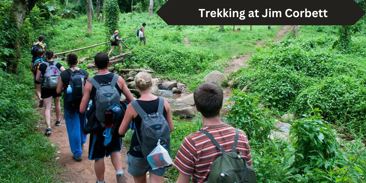 Trekking in Jim Corbett